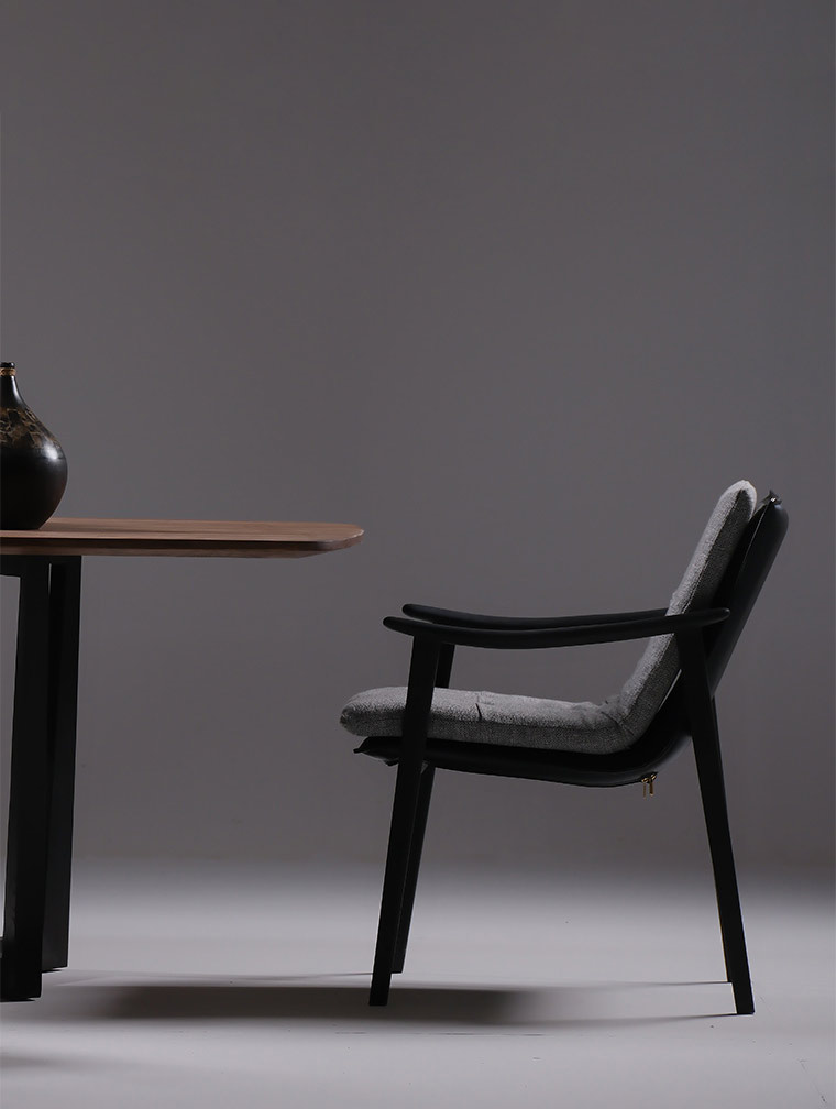 صندلی میزبان فین